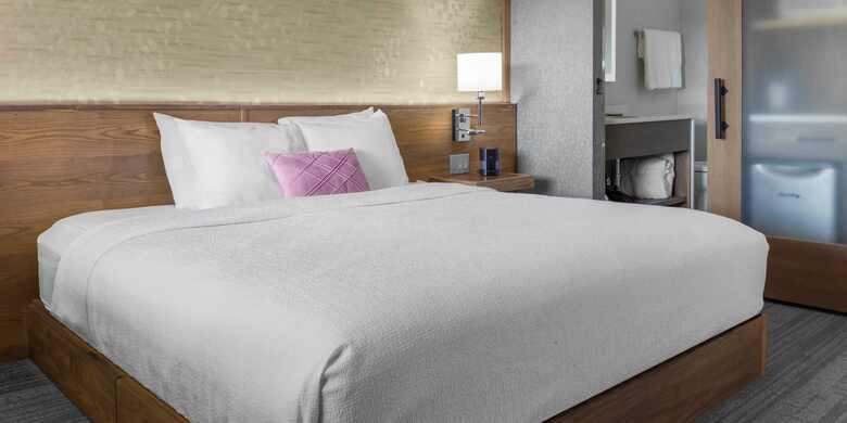 Hotel Econo Lodge At The Falls