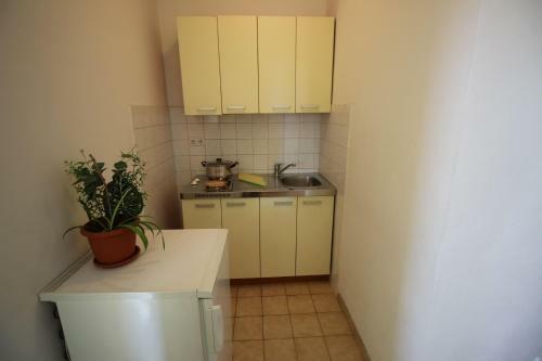 Apartments Marko