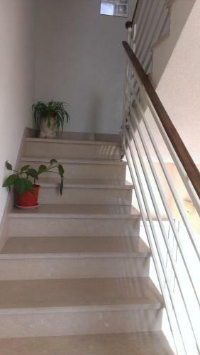 Apartments Marko