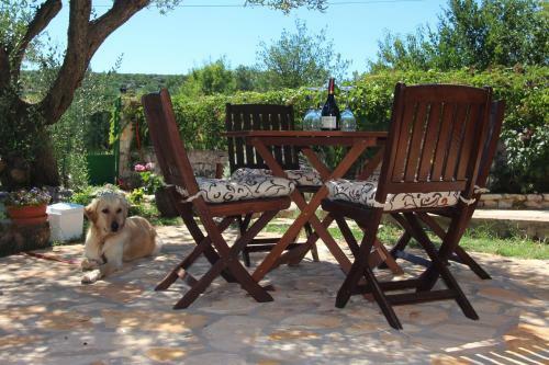 Holiday Home Salajic