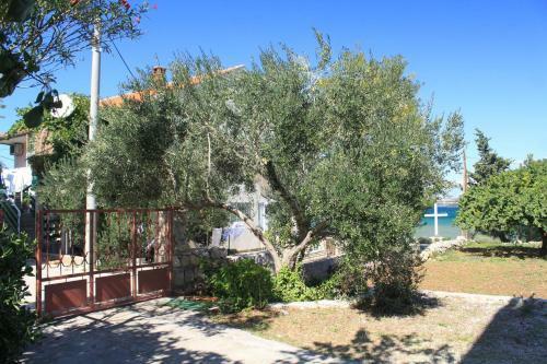 Apartment Tkon 8414b
