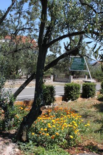 Apartment Tkon 6217a