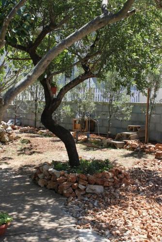 Apartment Tkon 6217a