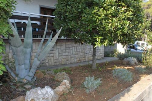 Apartment Tkon 8395a