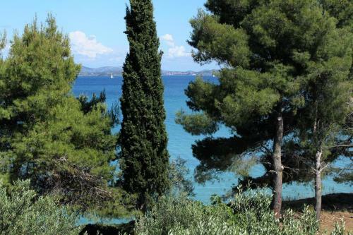 Apartments By The Sea Tkon (pasman) - 698