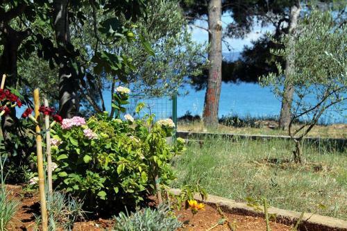 Apartments By The Sea Tkon (pasman) - 698