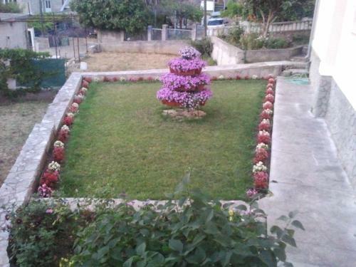 Apartamentos Vila Rosa