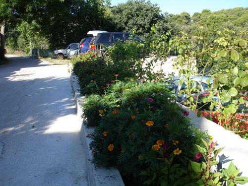 Apartamentos Vila Rosa