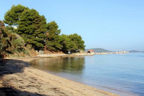 Apartments By The Sea Tkon (pasman) - 5840