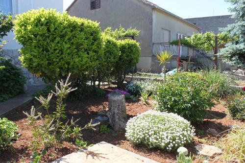 Apartment Tkon 6221b