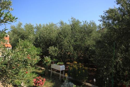 Apartment Kraj 8213a