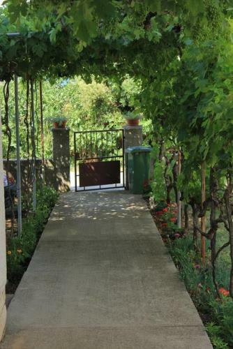 Apartments With A Parking Space Tkon (pasman) - 8302