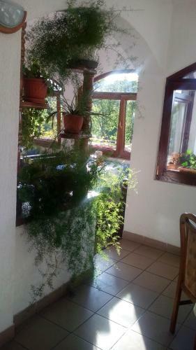 Holiday Home Manda