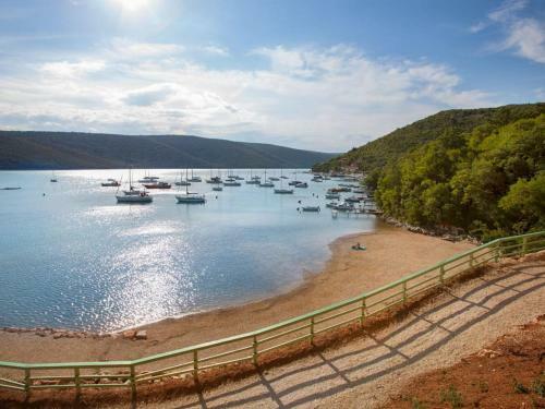 Holiday Home Stancija Negri