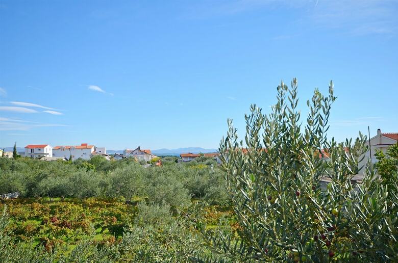 Hostal Apartment And Rooms Ivana