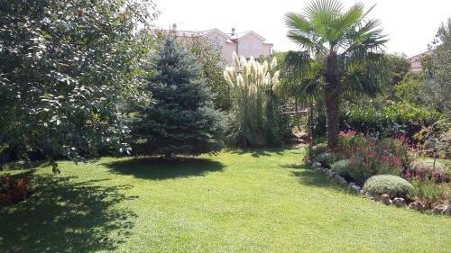 Apartment Oaza Mira