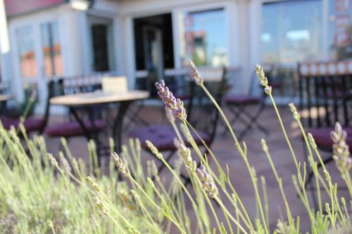 Hotel Villa Diana