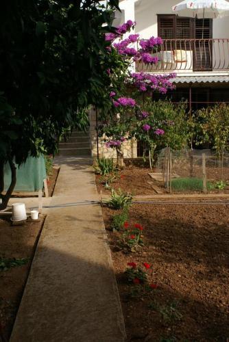 Apartamentos Studio Seget Vranjica 1036b