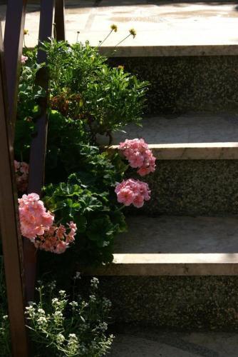 Apartment Seget Vranjica 4285b