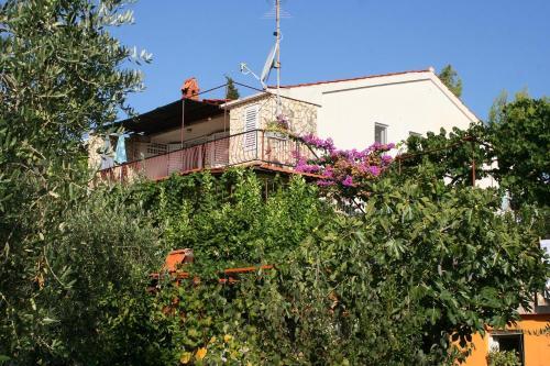 Apartment Seget Vranjica 975a