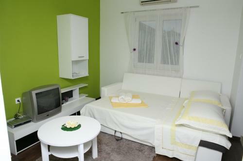 Apartment Roko