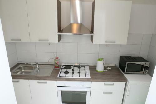 Apartment Roko