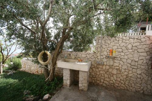 Apartment Arbanija 4646c