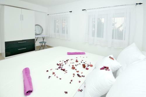 Apartmani Mijatovi?