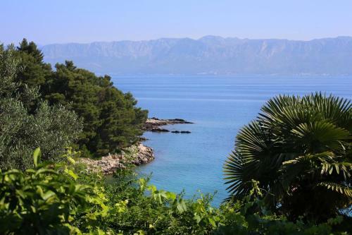 Hostal Double Room Trpanj 258b