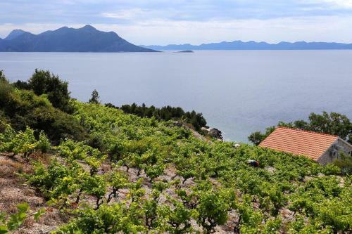 Holiday House With A Parking Space Dingac - Pristranj (peljesac) - 660