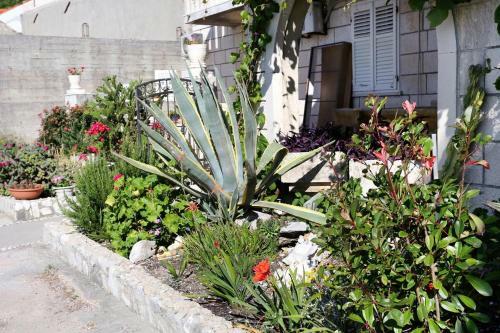 Apartamentos Studio Trstenik 4570d