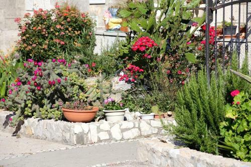 Apartamentos Studio Trstenik 4570d