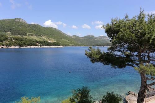 Apartamentos Studio Trstenik 10110b