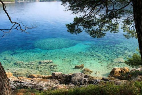 Hostal Twin Room Ubli 991c