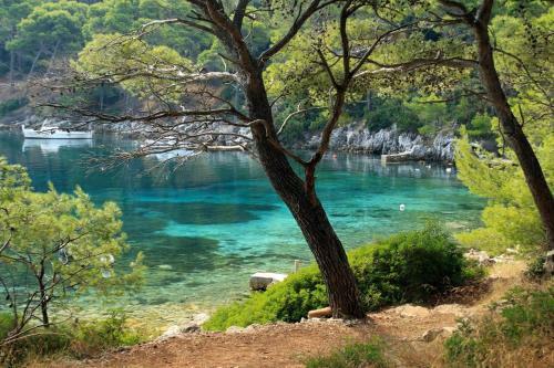 Apartments By The Sea Ubli (lastovo) - 8355