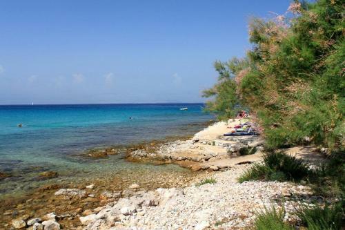 Apartment Susica 8467b