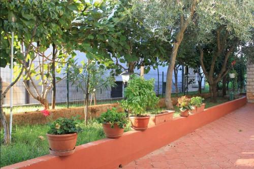 Apartment Umag 7094d