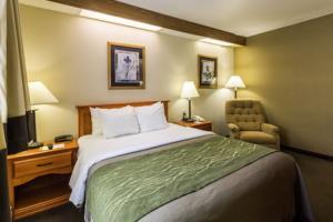 Hotel Comfort Inn