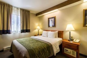 Hotel Comfort Inn