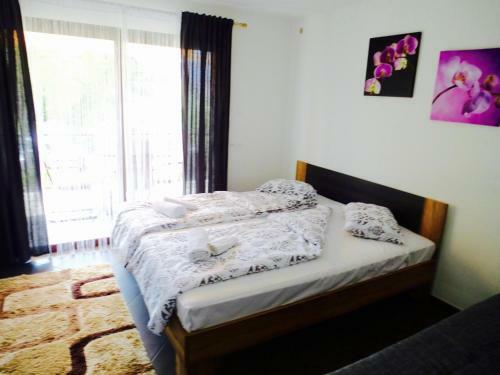 Apartments Danex Aida