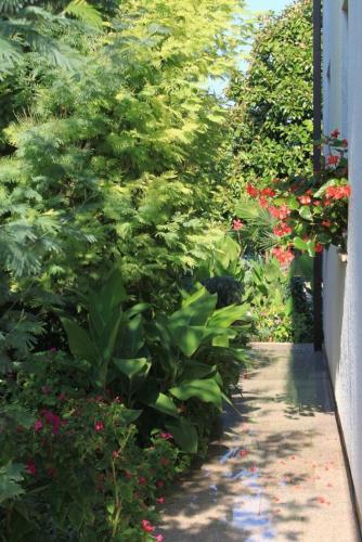 Apartment Umag 7171a