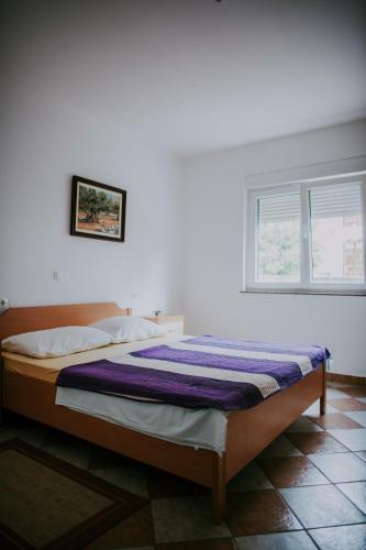 Hostal Danex Komunela Apartment & Rooms