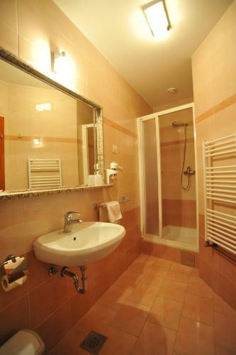 Bed & Breakfast Pansion Maltar Vara?din