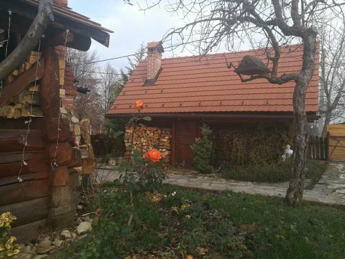 Holiday Homes Fairy Tale