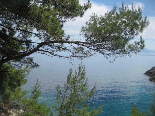 Holiday Home Veseli