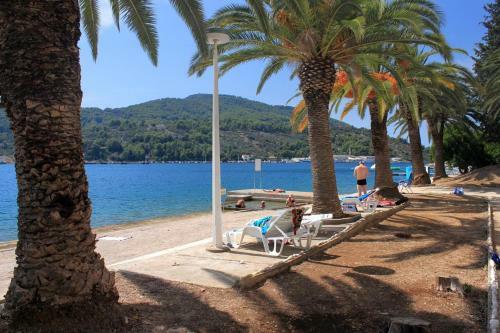 Apartment Vela Luka 4449c