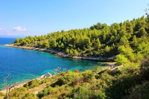 Vacation House Biondina