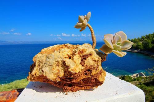 Vacation House Biondina