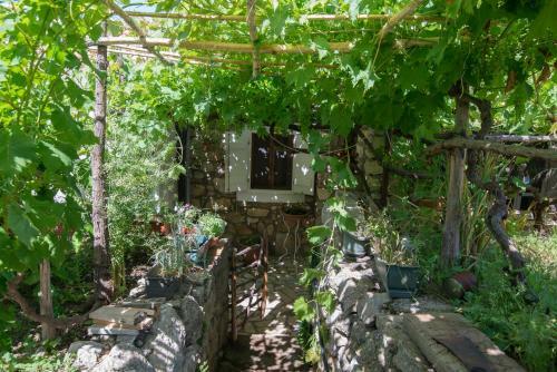 Apartamentos Loredana 2