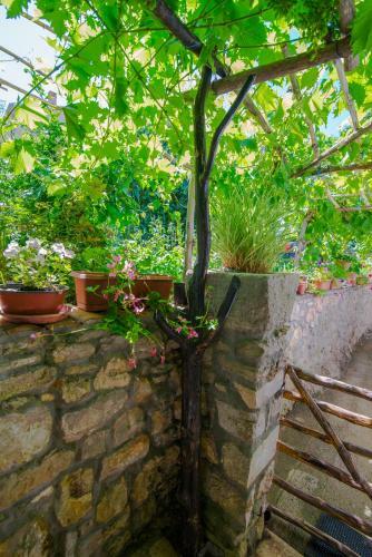 Apartamentos Loredana 2